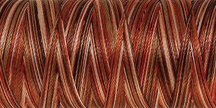 Amann Poly Sheen Multi No.40 200 m 9302 Autumn Spice