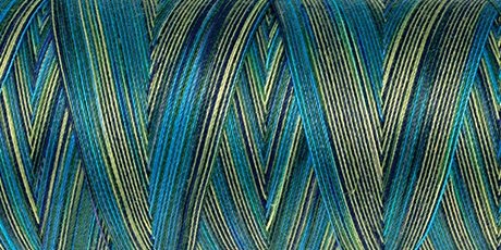 Amann Mettler SILK-FINISH COTTON MULTI No.50/ 1372 m 9815 Lakeside View