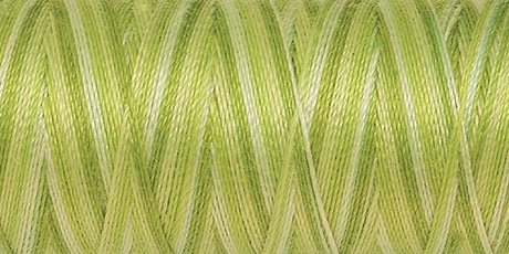 Amann Silk Finish Multicolor Cotton No.50 (36 Farben / 457 m) 9817