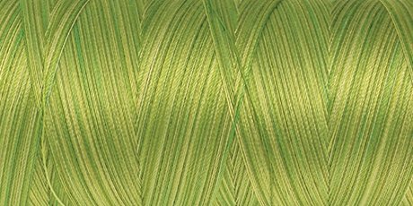Amann Mettler SILK-FINISH COTTON MULTI No.50/ 1372 m 9817 Little Spouts