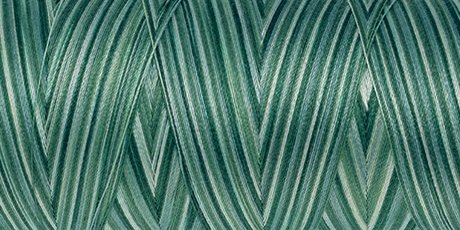Amann Mettler SILK-FINISH COTTON MULTI No.50/ 1372 m 9819 Spruce Pines