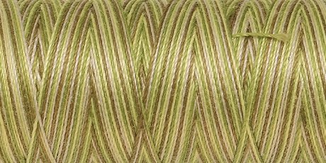 Amann Mettler SILK-FINISH COTTON MULTI No.50/ 100 m 9820