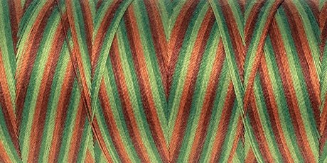 Amann Mettler SILK-FINISH COTTON MULTI No.50/ 1372 m 9822 Forest Land