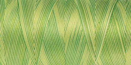 Amann Mettler SILK-FINISH COTTON MULTI No.50/ 1372 m 9830 Citrus Twist