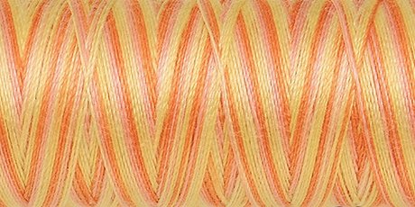 Amann Mettler SILK-FINISH COTTON MULTI No.50/ 100 m 9833