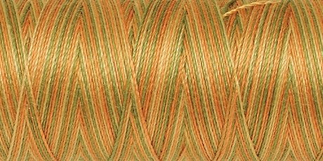 Amann Mettler SILK-FINISH COTTON MULTI No.50/ 100 m 9835