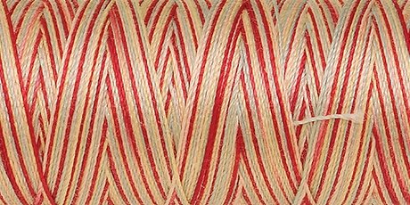 Amann Mettler SILK-FINISH COTTON MULTI No.50/ 100 m 9849