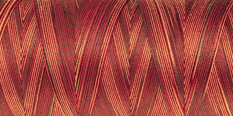 Amann Mettler SILK-FINISH COTTON MULTI No.50/ 1372 m 9851 Poppy Garden
