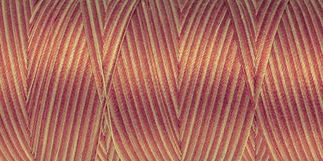 Amann Mettler SILK-FINISH COTTON MULTI No.50/ 1372 m 9856 Lions Mane