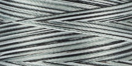 Amann Isacord No.40 Multicolor (1000 m) 9920