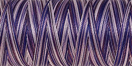 Amann Poly Sheen Multi No.40 800 m 9921 Violet Hues