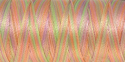Amann Poly Sheen Multi No.40 800 m 9935 Baby Girl Pastels