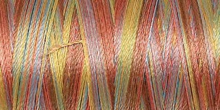 Amann Poly Sheen Multi No.40 800 m 9974 Coastal Mix