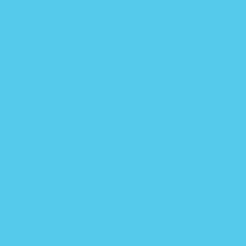 Craftcut Premium Vinyl Folie glänzend (13,9 x 244 cm/ verschiedene Farben/ Box) Pastel-Blue