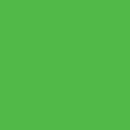 Craftcut Premium Vinyl Folie glänzend (13,9 x 244 cm/ verschiedene Farben/ Box) Apple-Green