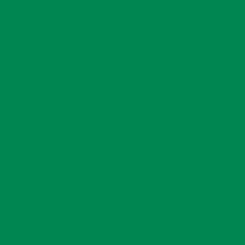 Craftcut Premium Vinyl Folie glänzend (13,9 x 244 cm/ verschiedene Farben/ Box) Green