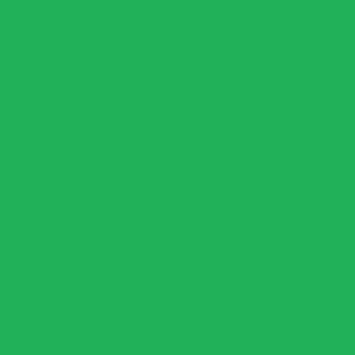 Craftcut Premium Vinyl Folie glänzend (13,9 x 244 cm/ verschiedene Farben/ Box) Bright-Green