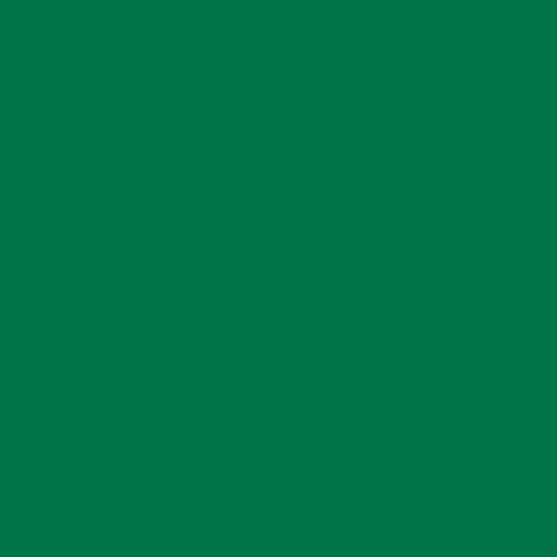 PlottiX Permanente Vinylfolie Rolle (31,5 cm x 1 m/ versch. Farben) Grün