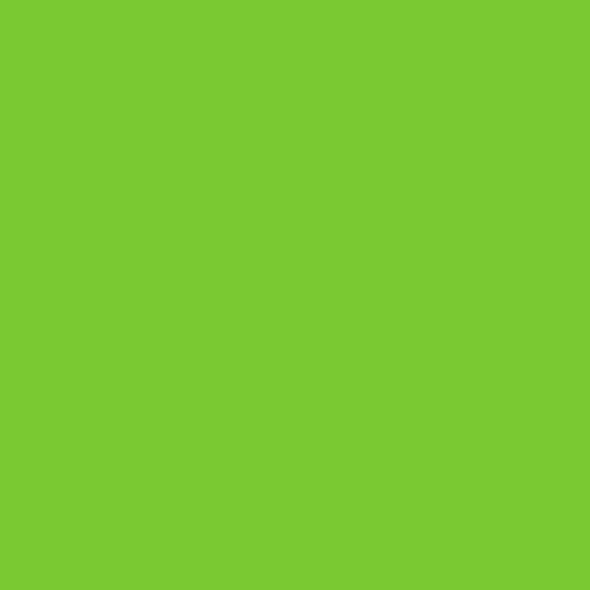 PlottiX Wandtattoo Vinylfolie Rolle (31,5 cm x 1 m/ versch. Farben) Hellgrün