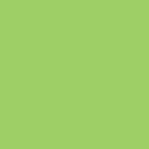Craftcut Premium Vinyl Folie matt (13,9 x 244 cm/ verschiedene Farben/ Box) Light-Green