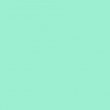 PlottiX PremiumFlex-Folie (30 x 30 cm/ einzeln/ 28 Farben) Minzgrün