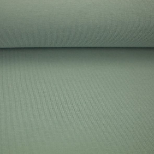 Baumwoll-Jersey uni - in 60 Farben 000262-hellaltmint: 1,0m