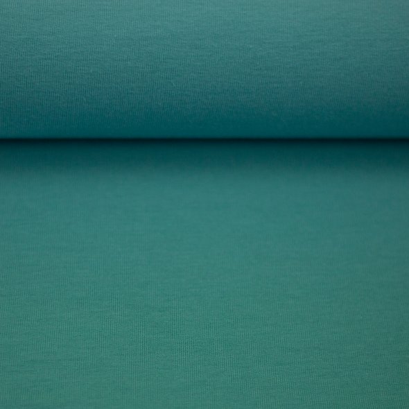 Baumwoll-Jersey uni - in 60 Farben 000263-mint: 1,0m