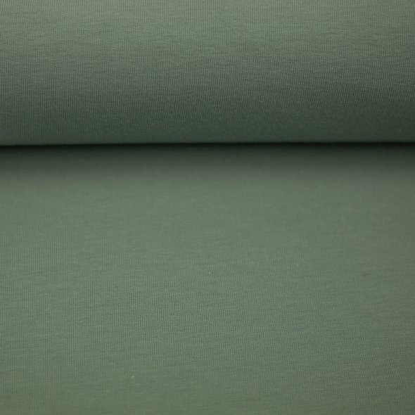 Baumwoll-Jersey uni - in 60 Farben 000265-altmint: 1,0m