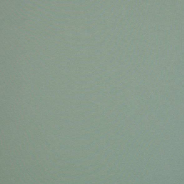 Baumwoll Sweat Stoff Eike angeraut uni - von Swafing 000262-hellaltmint: 1,0m
