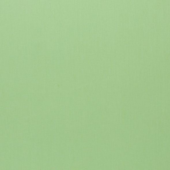Baumwollstoff uni - Heide von Swafing 000260-mint: 1,0m