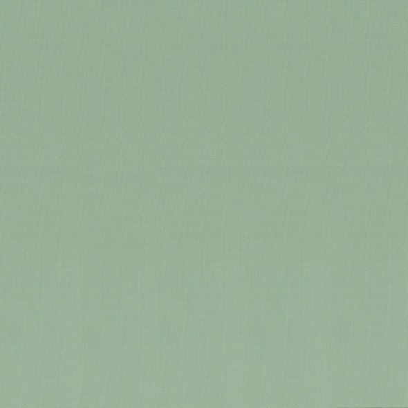 Canvas Stoff uni - Calvin von Swafing 000263-hellmint: 1,0m