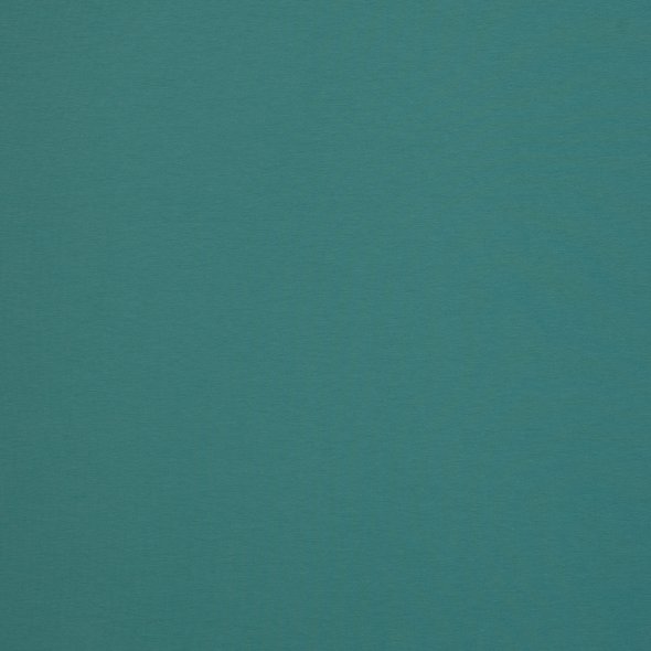 Baumwoll-Jersey uni - in 60 Farben 000263-mint: 1,0m