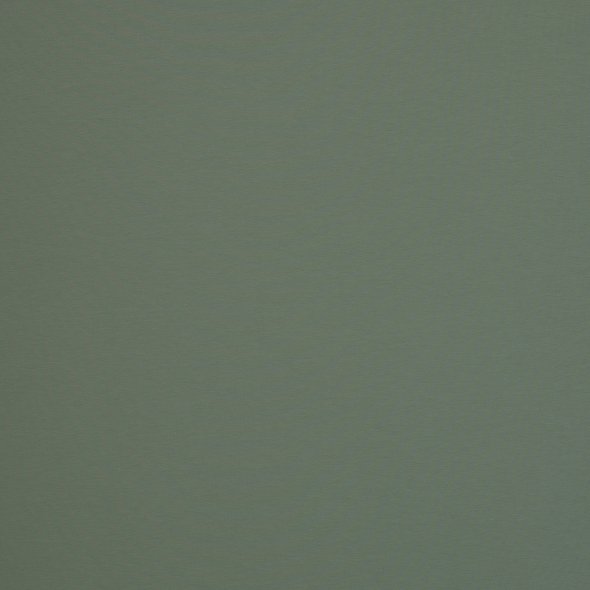 Baumwoll-Jersey uni - in 60 Farben 000265-altmint: 1,0m
