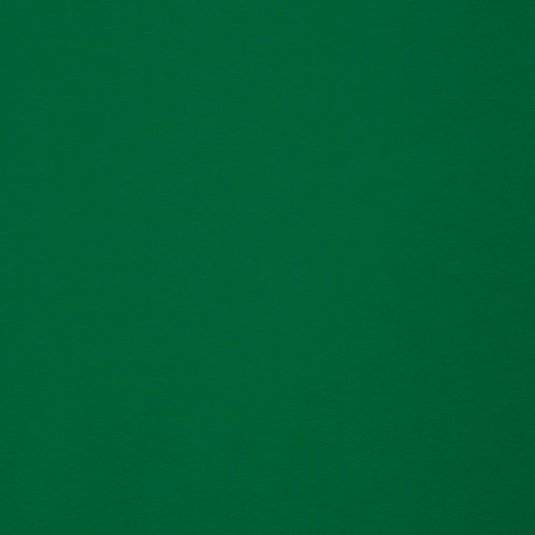 Baumwoll-Jersey uni - in 60 Farben 000365-grasgrün: 1,0m