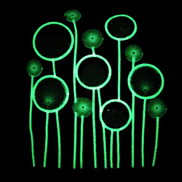 Gunold GLOWY - Fluoreszierende Stickgarne mit Leuchtkraft (1000 m) weiß - Farbe 8