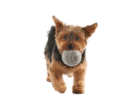 Gleener® DRYER DOTS 4er Pack