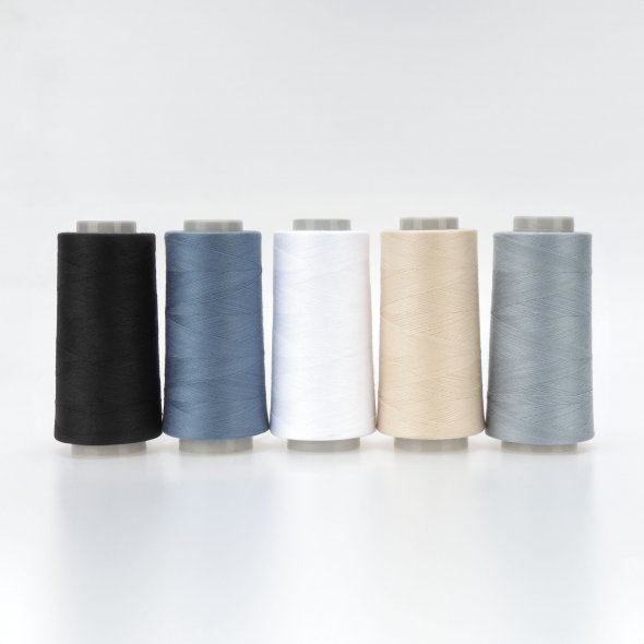 Acryl-Garnbox mit 5 basic Farben Gütermann Toldi-Lock (2500 m / 20 Konen) Overlockgarn