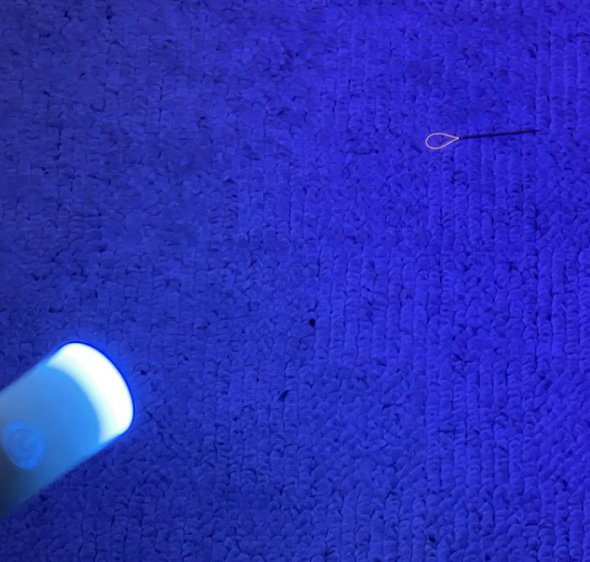 Lassonadel Suchlicht